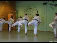 2011 04 03 4130-border